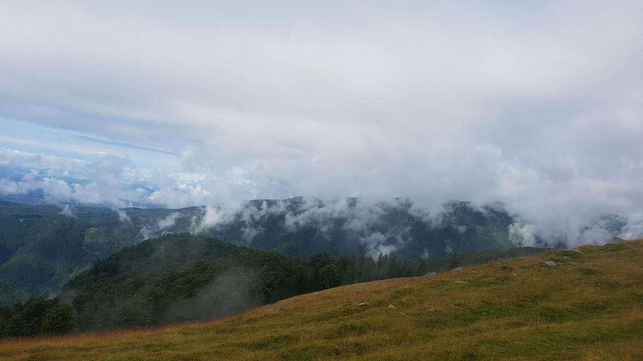 Vila Alena Rânca Exteriér fotografie